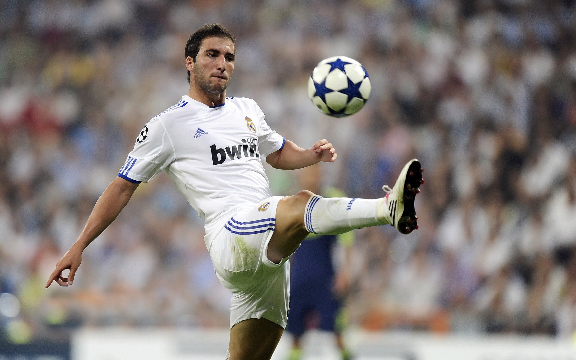 九游网页版入口-爱尔兰女子橄榄球队打破性别障碍，爱尔兰式橄榄球